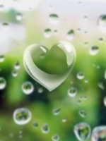 Heartbubble